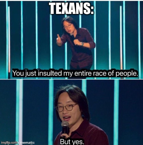 You just insulted my entire race of people | TEXANS: | image tagged in you just insulted my entire race of people | made w/ Imgflip meme maker