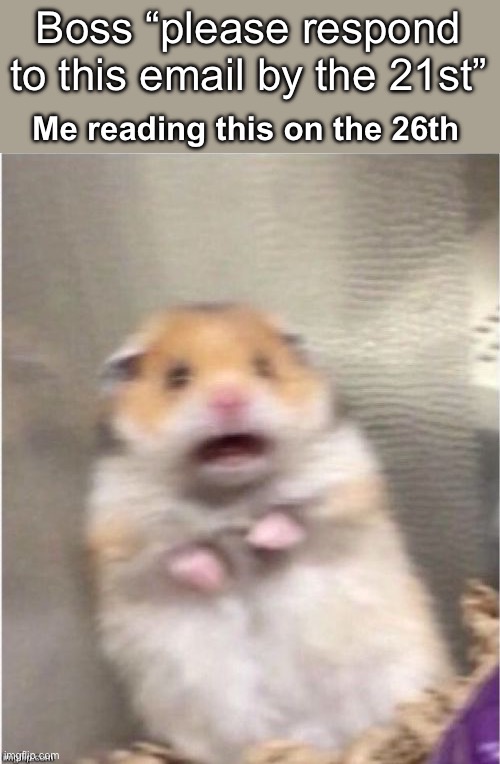 The classic “I’m screwed” moment | Boss “please respond to this email by the 21st”; Me reading this on the 26th | image tagged in scared hamster | made w/ Imgflip meme maker
