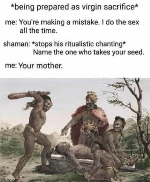 Historically rare insult | image tagged in insult,your mom | made w/ Imgflip meme maker