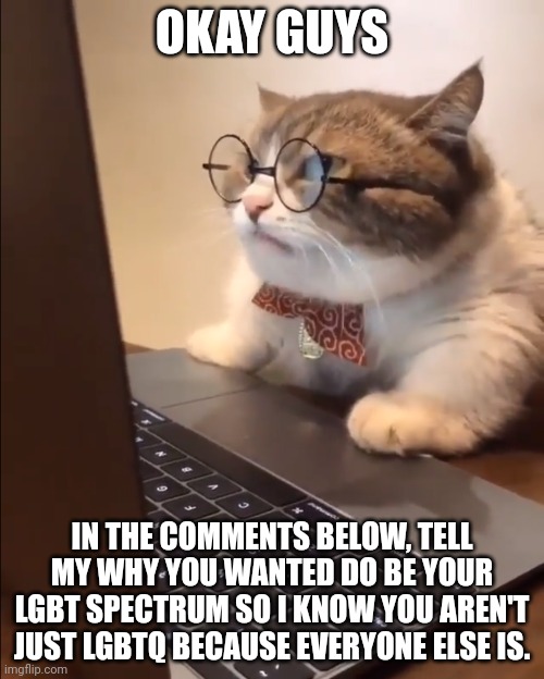 I know some of you are. | OKAY GUYS; IN THE COMMENTS BELOW, TELL MY WHY YOU WANTED DO BE YOUR LGBT SPECTRUM SO I KNOW YOU AREN'T JUST LGBTQ BECAUSE EVERYONE ELSE IS. | image tagged in research cat | made w/ Imgflip meme maker