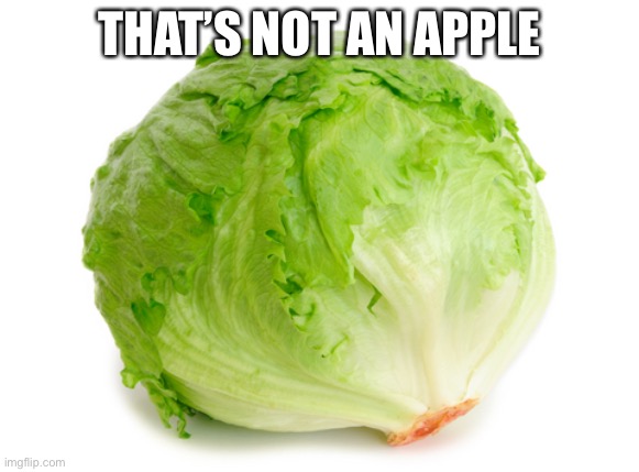 Bro | THAT’S NOT AN APPLE | image tagged in lettuce | made w/ Imgflip meme maker