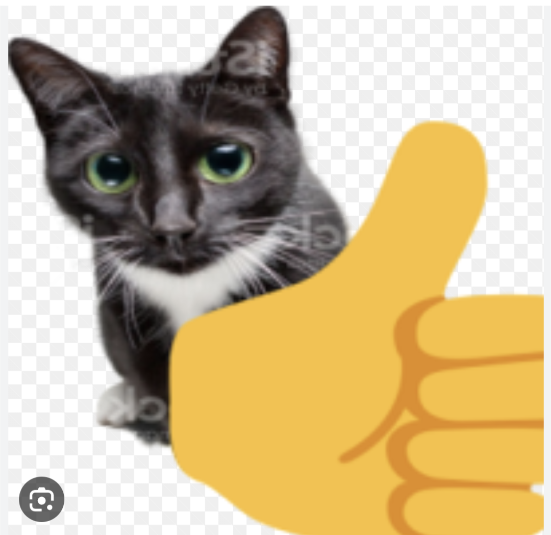 High Quality Thumbs up cat Blank Meme Template