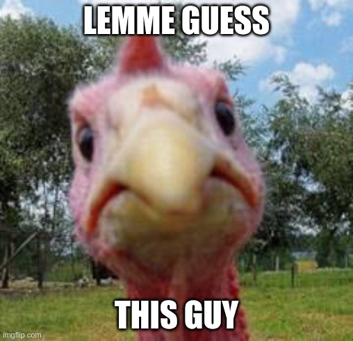 turkey | LEMME GUESS THIS GUY | image tagged in turkey | made w/ Imgflip meme maker
