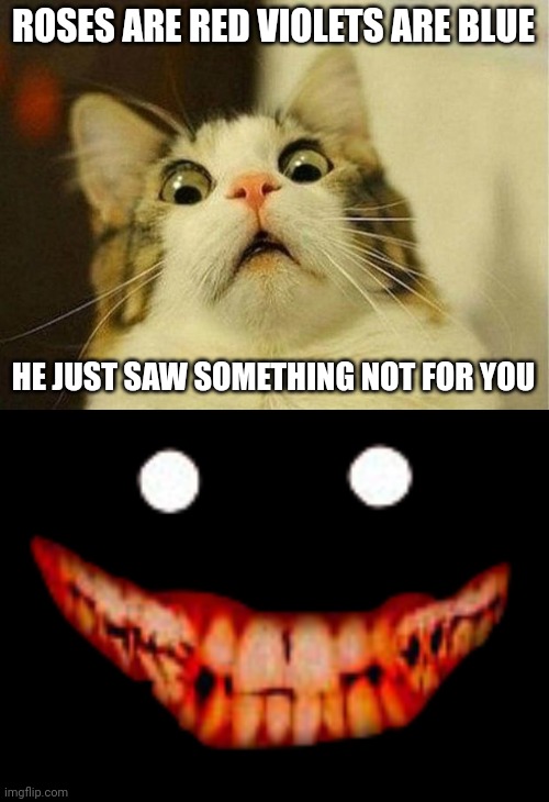 ROSES ARE RED VIOLETS ARE BLUE; HE JUST SAW SOMETHING NOT FOR YOU | image tagged in memes,scared cat,creepy face | made w/ Imgflip meme maker