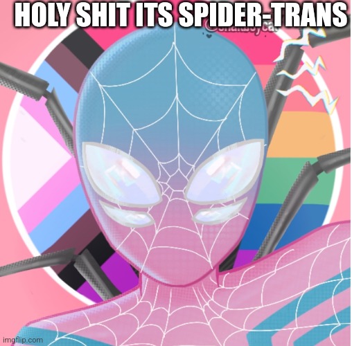 HOLY SHIT ITS SPIDER-TRANS | image tagged in spiderman | made w/ Imgflip meme maker