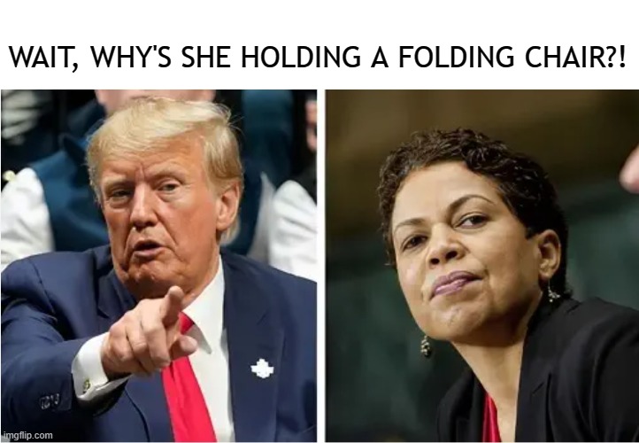 Trump Brawl | WAIT, WHY'S SHE HOLDING A FOLDING CHAIR?! | image tagged in trump,judge,trial,chair,woman,black woman | made w/ Imgflip meme maker