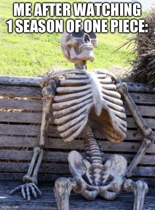 Waiting Skeleton | ME AFTER WATCHING 1 SEASON OF ONE PIECE: | image tagged in memes,waiting skeleton | made w/ Imgflip meme maker
