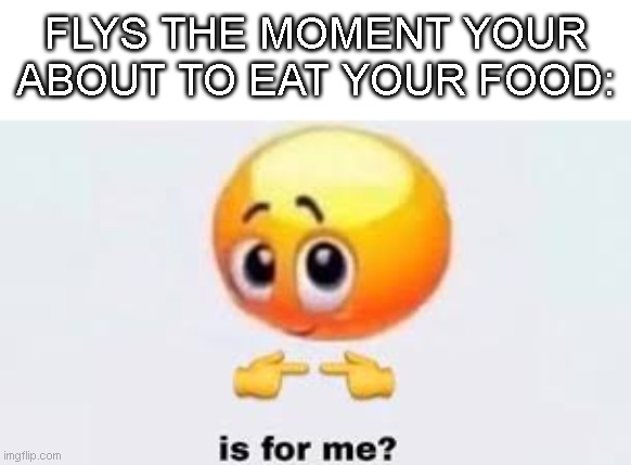 How do they even get inside?? | FLYS THE MOMENT YOUR ABOUT TO EAT YOUR FOOD: | image tagged in is for me,fly,annoying | made w/ Imgflip meme maker