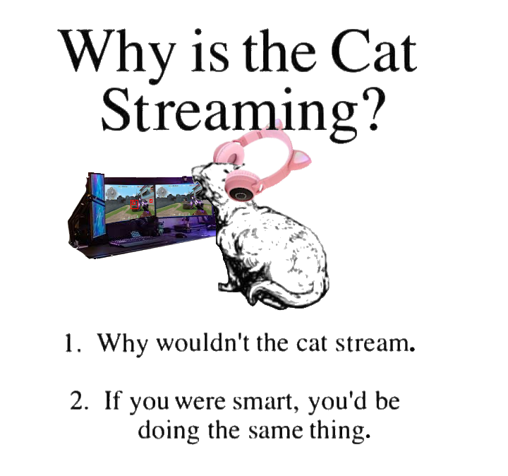 High Quality Why is the cat streaming Blank Meme Template
