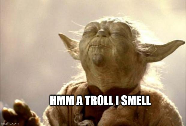 yoda smell | HMM A TROLL I SMELL | image tagged in yoda smell | made w/ Imgflip meme maker