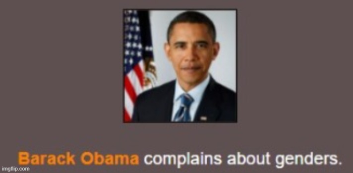 Re-elect Obama in 2024 | image tagged in barack obama complains about genders | made w/ Imgflip meme maker