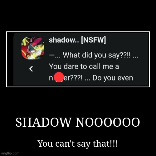 SHADOW NOOOOOO | You can't say that!!! | image tagged in funny,demotivationals | made w/ Imgflip demotivational maker