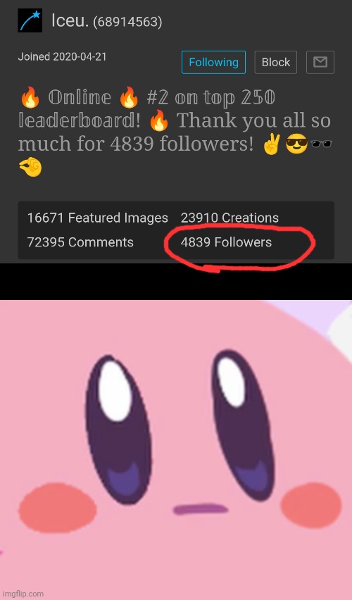 I guess that's a lot of followers | image tagged in blank kirby face,memes | made w/ Imgflip meme maker