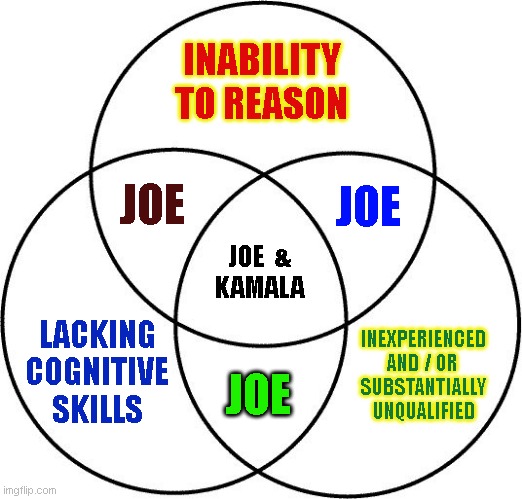 Venn diagram | INABILITY
TO REASON; JOE; JOE; JOE  &


KAMALA; LACKING
COGNITIVE
SKILLS; INEXPERIENCED
AND / OR 
SUBSTANTIALLY
UNQUALIFIED; JOE | image tagged in venn diagram | made w/ Imgflip meme maker