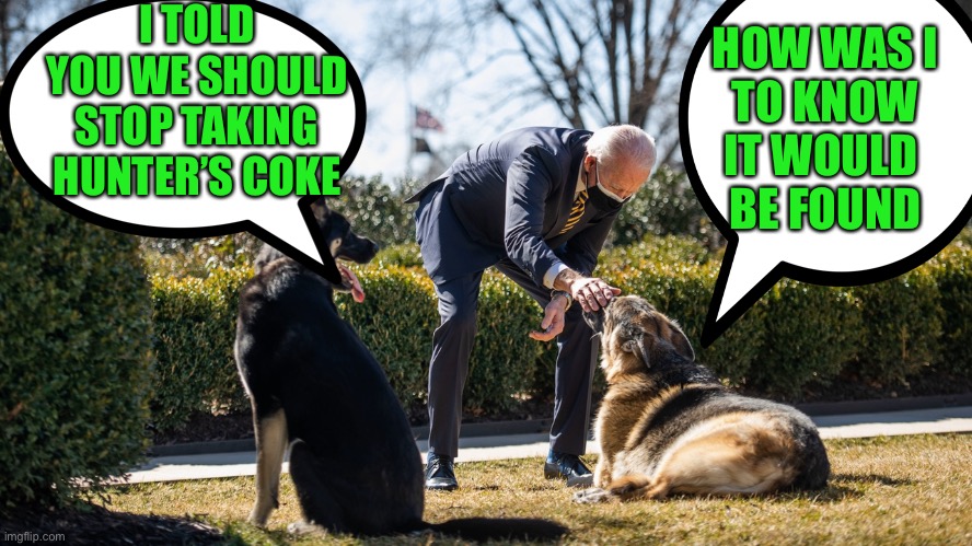 Supposedly it was not Hunter’s. No wonder the dogs are so aggressive! | I TOLD YOU WE SHOULD STOP TAKING HUNTER’S COKE; HOW WAS I
TO KNOW IT WOULD 
BE FOUND | image tagged in biden's dogs,biting,cocaine | made w/ Imgflip meme maker