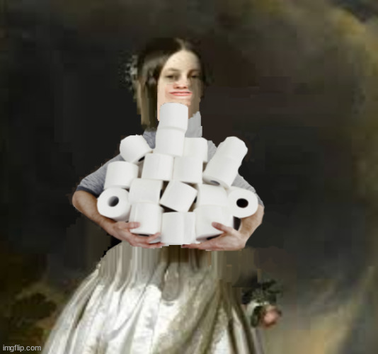 This took time and concentration | image tagged in funny,toilet paper,historical meme | made w/ Imgflip meme maker