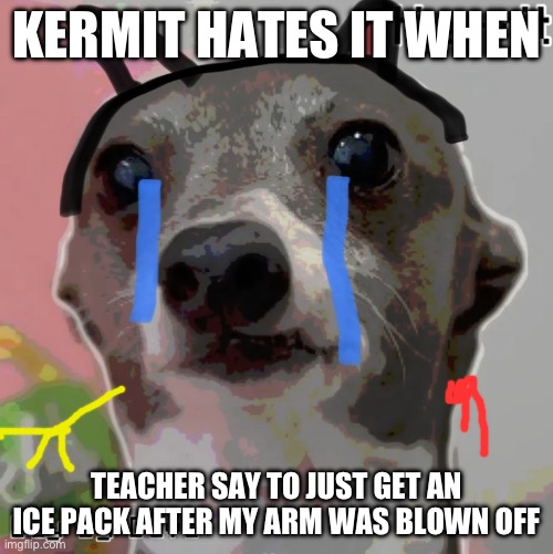 Schools. | KERMIT HATES IT WHEN; TEACHER SAY TO JUST GET AN ICE PACK AFTER MY ARM WAS BLOWN OFF | image tagged in kermit,unhelpful high school teacher | made w/ Imgflip meme maker