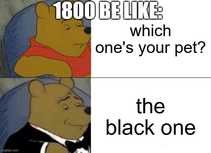 Tuxedo Winnie The Pooh | 1800 BE LIKE:; which one's your pet? the black one | image tagged in memes,tuxedo winnie the pooh | made w/ Imgflip meme maker