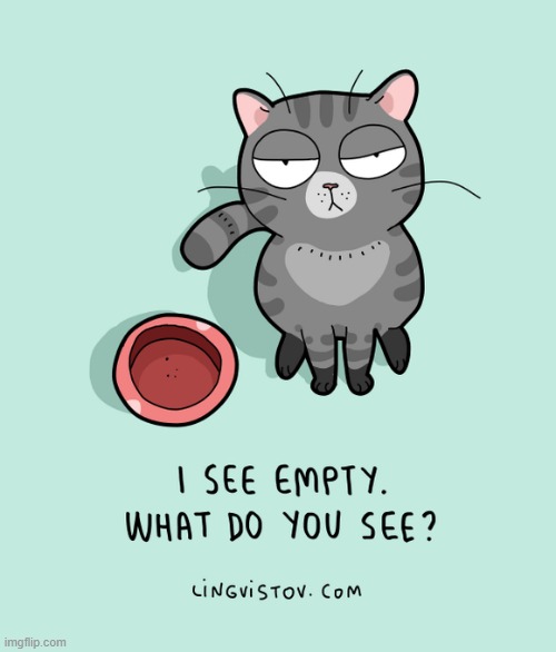 A Cats Way Of Thinking | image tagged in memes,comics/cartoons,cats,empty,bowl,when you see it | made w/ Imgflip meme maker