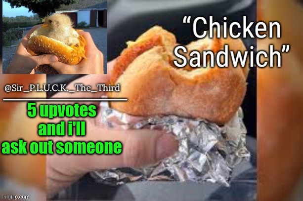 Chicken sandwich (thanks behapp) | 5 upvotes and i'll ask out someone | image tagged in chicken sandwich thanks behapp | made w/ Imgflip meme maker