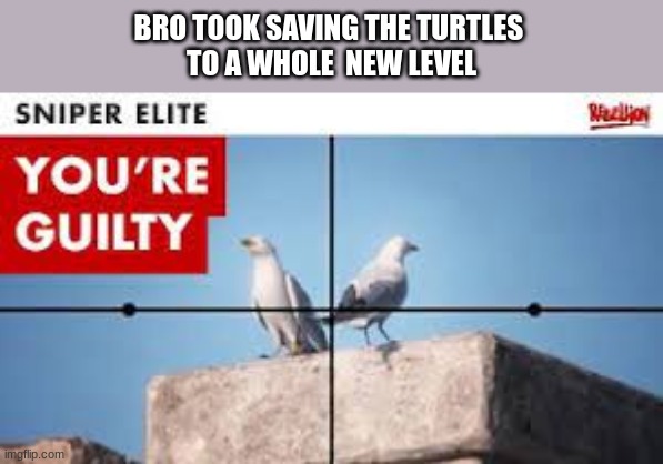 save the turtles | BRO TOOK SAVING THE TURTLES 
TO A WHOLE  NEW LEVEL | image tagged in funny,funny memes,turtles,nice | made w/ Imgflip meme maker