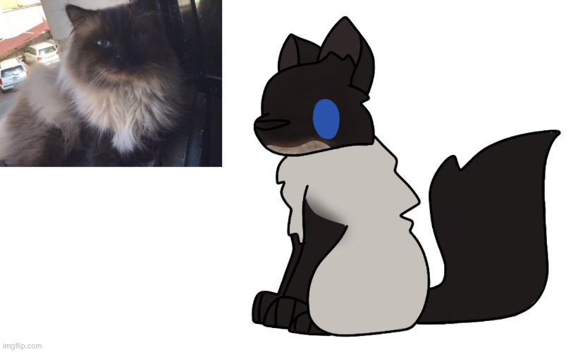 W i n k | made w/ Imgflip meme maker