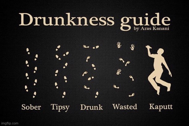 Guide to drinking | image tagged in drunkness guide,sober,tipsey,drunk,wasted | made w/ Imgflip meme maker
