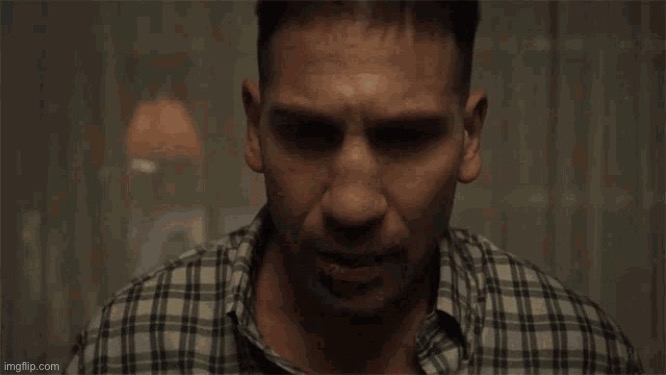 the punisher | image tagged in the punisher | made w/ Imgflip meme maker