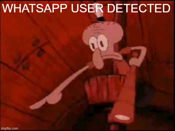 Squidward pointing | WHATSAPP USER DETECTED | image tagged in squidward pointing | made w/ Imgflip meme maker