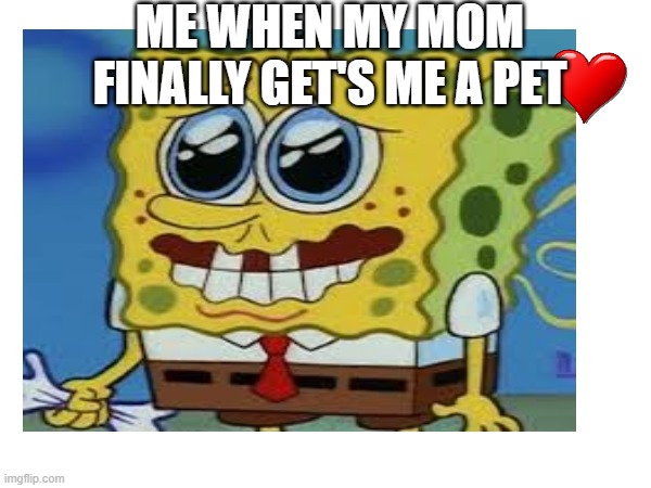 SpongeBob meme | ME WHEN MY MOM FINALLY GET'S ME A PET | image tagged in funny meme | made w/ Imgflip meme maker