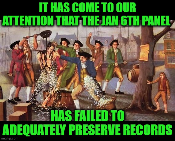 What are Our Options? Let's See What the History Books Have to Say | IT HAS COME TO OUR ATTENTION THAT THE JAN 6TH PANEL; HAS FAILED TO ADEQUATELY PRESERVE RECORDS | image tagged in tar and feather | made w/ Imgflip meme maker