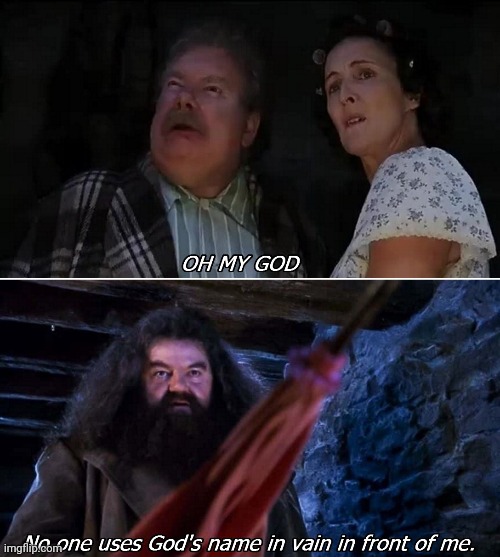 W Hagrid | image tagged in harry potter,christian memes,god | made w/ Imgflip meme maker