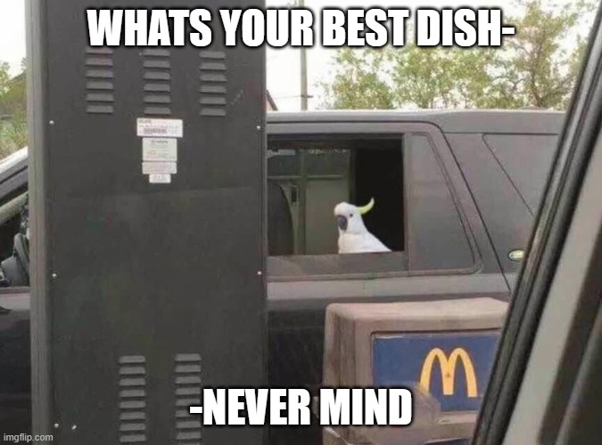 Never mind | WHATS YOUR BEST DISH-; -NEVER MIND | image tagged in can i get uhhh | made w/ Imgflip meme maker
