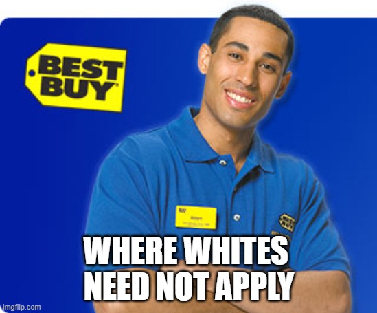 Best Buy | WHERE WHITES 
NEED NOT APPLY | image tagged in best buy,discrimination,anti-white,woke | made w/ Imgflip meme maker