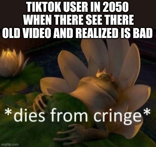 *dies of cringe* | TIKTOK USER IN 2050
 WHEN THERE SEE THERE OLD VIDEO AND REALIZED IS BAD | image tagged in dies of cringe | made w/ Imgflip meme maker