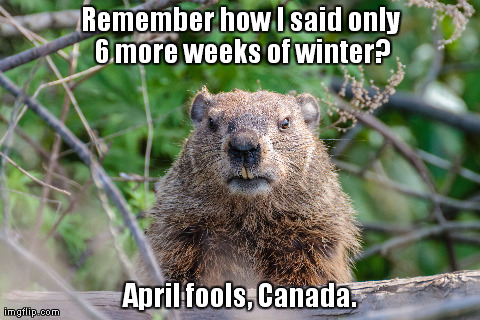 Remember how I said only 6 more weeks of winter? April fools, Canada. | made w/ Imgflip meme maker