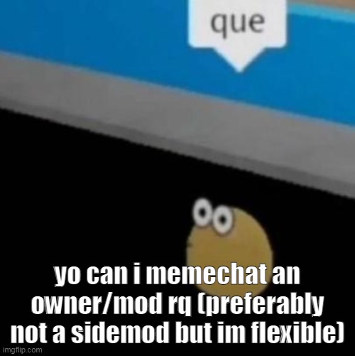 que | yo can i memechat an owner/mod rq (preferably not a sidemod but im flexible) | image tagged in que | made w/ Imgflip meme maker