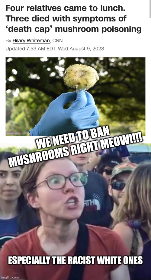 WE NEED TO BAN MUSHROOMS RIGHT MEOW!!!! ESPECIALLY THE RACIST WHITE ONES | image tagged in angry liberal,meanwhile in australia | made w/ Imgflip meme maker