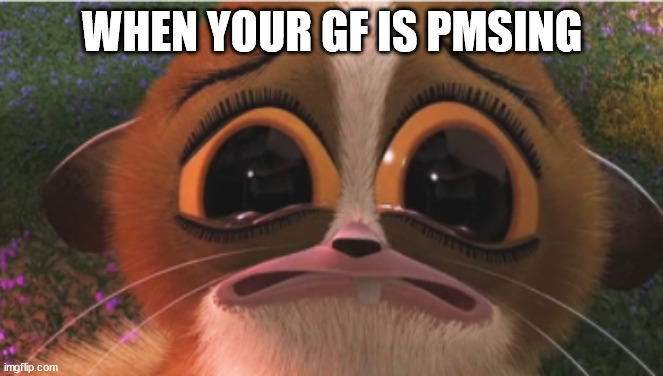 GF PMSing | WHEN YOUR GF IS PMSING | image tagged in crying mort | made w/ Imgflip meme maker