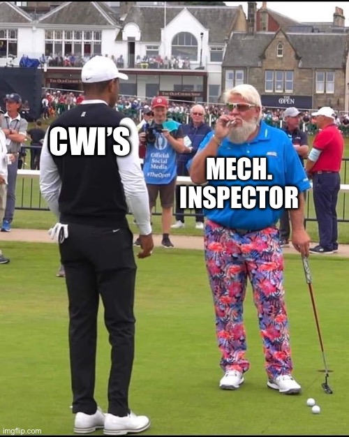 John Daly and Tiger Woods | CWI’S; MECH. INSPECTOR | image tagged in john daly and tiger woods | made w/ Imgflip meme maker