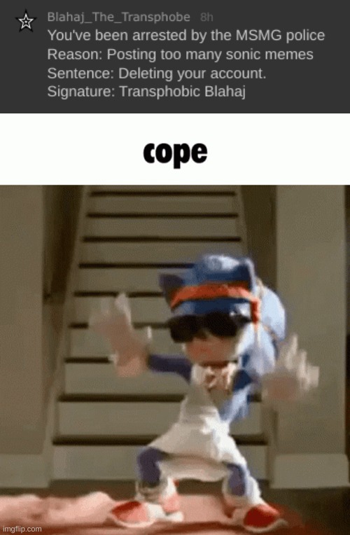oh i'm sorry, did you not like a random person posting sonic memes? | image tagged in cope static image ver | made w/ Imgflip meme maker