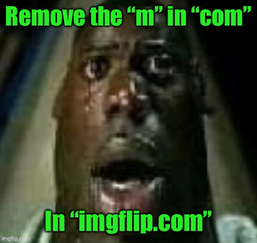 terror | Remove the “m” in “com”; In “imgflip.com” | image tagged in terror | made w/ Imgflip meme maker