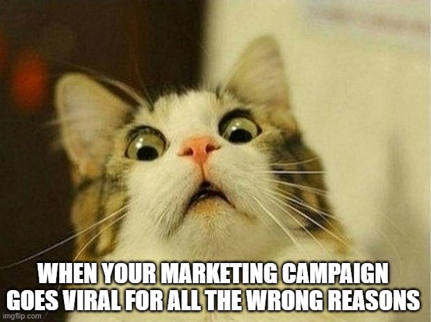 Scared Cat Meme | WHEN YOUR MARKETING CAMPAIGN GOES VIRAL FOR ALL THE WRONG REASONS | image tagged in memes,scared cat | made w/ Imgflip meme maker