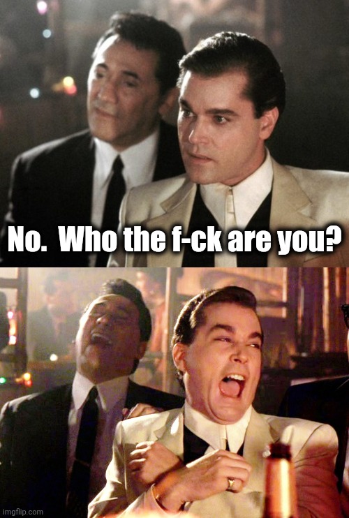 No.  Who the f-ck are you? | image tagged in goodfellas serious,memes,good fellas hilarious | made w/ Imgflip meme maker