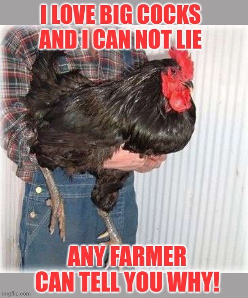 Stop it. Get some help | I LOVE BIG COCKS AND I CAN NOT LIE; ANY FARMER CAN TELL YOU WHY! | image tagged in stop it,stop it get some help,cocks | made w/ Imgflip meme maker