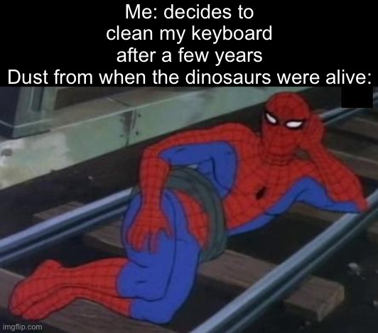 Omg- | Me: decides to clean my keyboard after a few years
Dust from when the dinosaurs were alive: | image tagged in memes,sexy railroad spiderman,spiderman | made w/ Imgflip meme maker