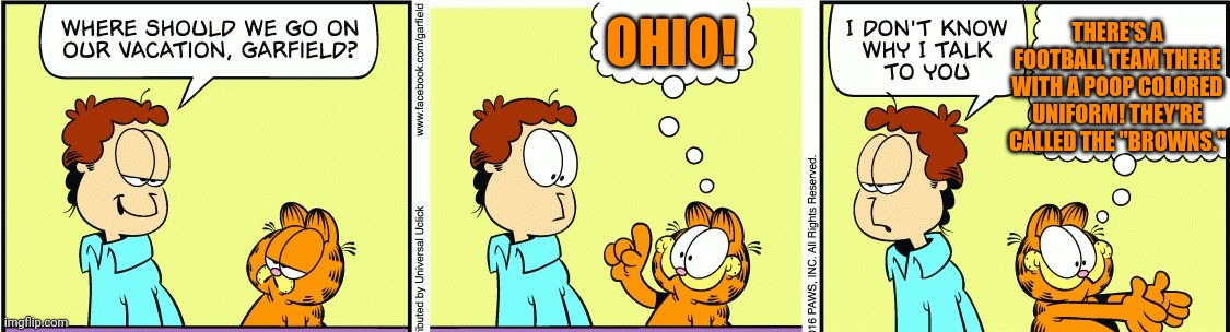 Garfield lore | THERE'S A FOOTBALL TEAM THERE WITH A POOP COLORED UNIFORM! THEY'RE CALLED THE "BROWNS."; OHIO! | image tagged in garfield comic vacation,garfield,only in ohio | made w/ Imgflip meme maker
