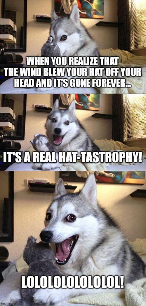 Hat-tastrophy | WHEN YOU REALIZE THAT THE WIND BLEW YOUR HAT OFF YOUR HEAD AND IT'S GONE FOREVER... IT'S A REAL HAT-TASTROPHY! LOLOLOLOLOLOLOL! | image tagged in memes,bad pun dog | made w/ Imgflip meme maker