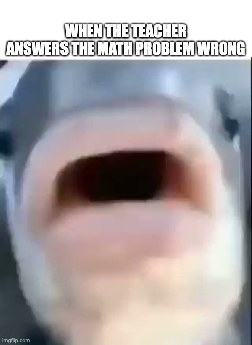 Expectations are so high | WHEN THE TEACHER ANSWERS THE MATH PROBLEM WRONG | image tagged in surprised fish,memes,funny,teacher,answers,cringe | made w/ Imgflip meme maker