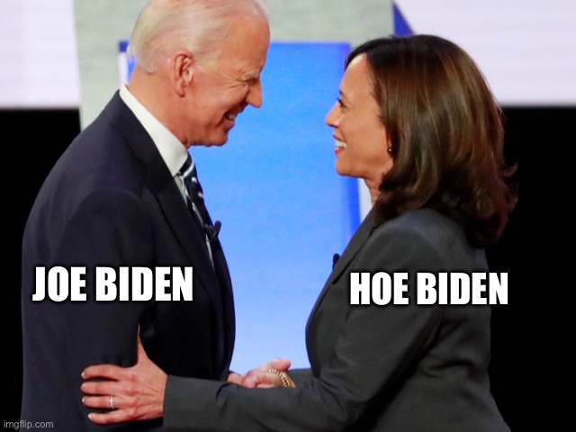 Joe and the Hoe | HOE BIDEN; JOE BIDEN | image tagged in biden harris,joe biden,kamala harris,worst,president,the lowest scum in history | made w/ Imgflip meme maker